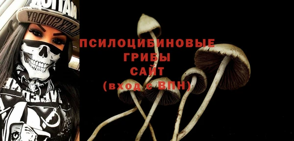 COCAINE Гусь-Хрустальный