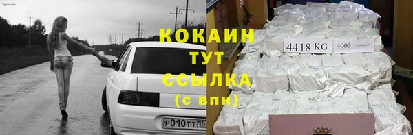 PSILOCYBIN Горняк