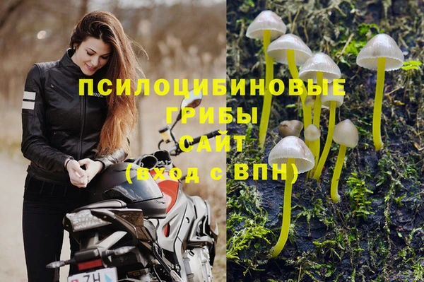 каннабис Гусиноозёрск