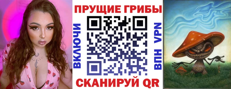 Галлюциногенные грибы GOLDEN TEACHER  Купить  Оленегорск 